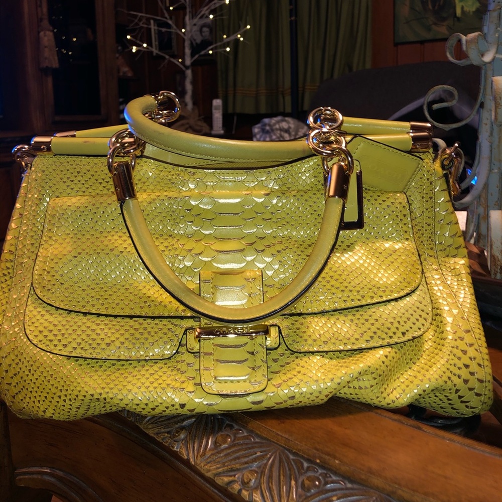 🔥 Coach Bag Python 🔥 - Picture 2 of 8